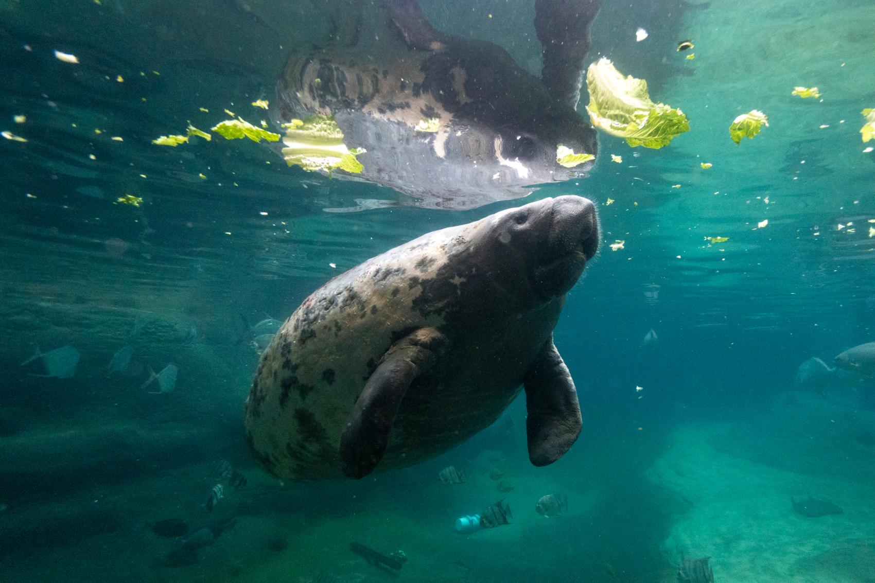 Columbus Zoo Aquarium