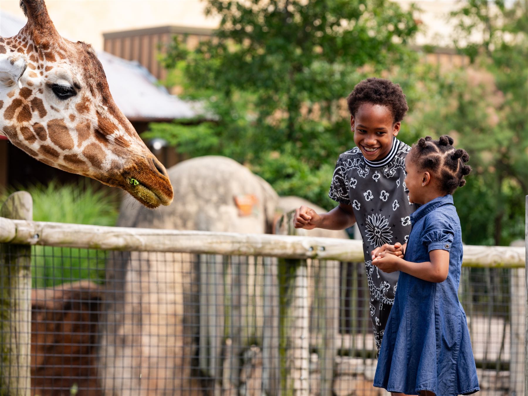 Columbus Zoo habitat